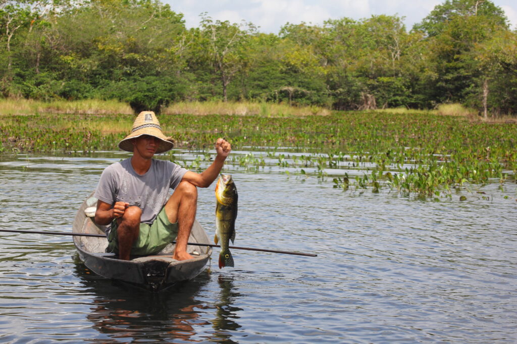 Proposta vincula seguro-defeso ao período real de proibição da pesca
